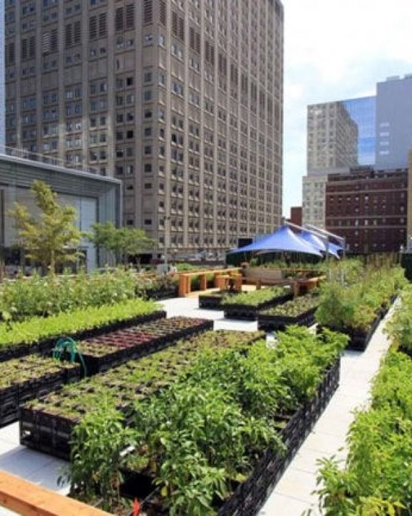 11-exemple coberta 1